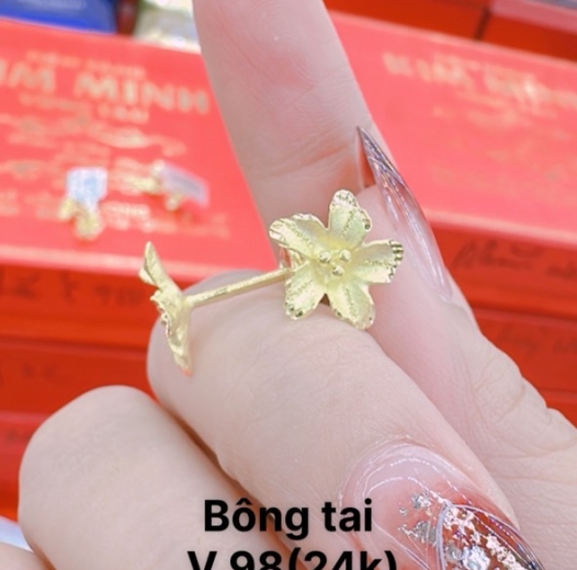 Bông tai 2