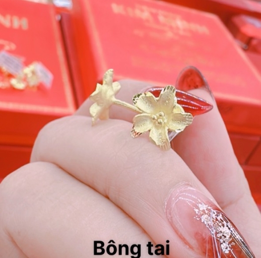 Bông tai 8