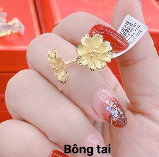 Bông tai 17
