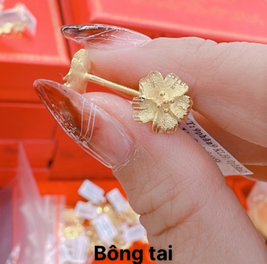 Bông tai 24